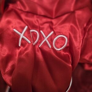 Vibrant Red Pet Robe